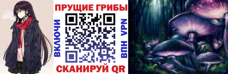 Галлюциногенные грибы Cubensis  Родники 